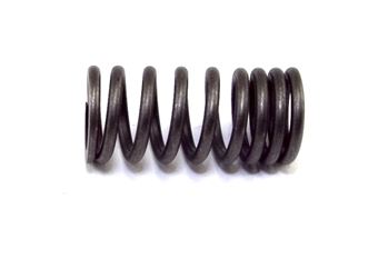 Valve Spring