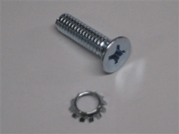 Jeepster Door Hinge / Wagon Tailgate Hinge Screw