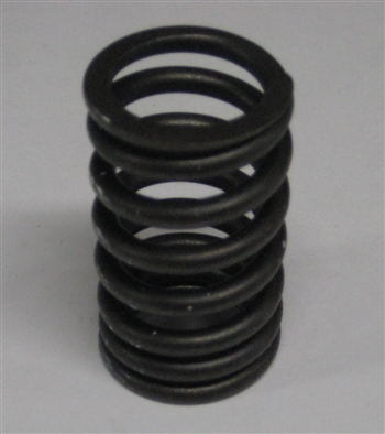 Valve Spring