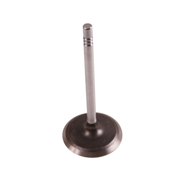 Intake Valve